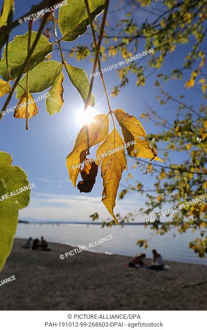 12 October 2019, Bavaria, Inning: On the shore of Ammersee, excursionists enjoy the sunshine next to trees whose leaves are coloured in autumn