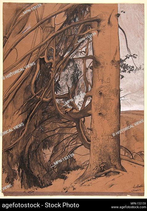 A Fir Tree in the Forest of the Landes, Aquitane. Artist: René-Ernest Huet (French, 1876-1914); Date: 1909; Medium: Black chalk, graphite, pen and ink