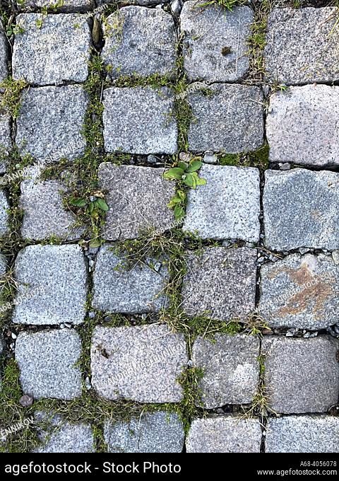 Paving stones as decoration in the Garden.