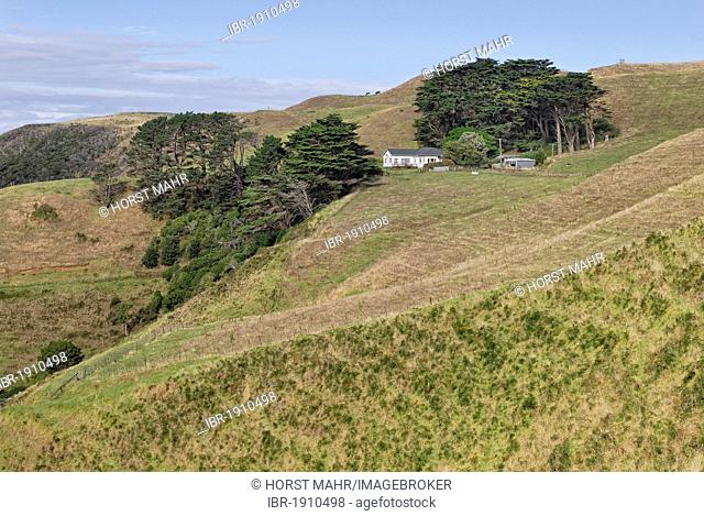 Pastures with farm house on the Lees Gully Road, Manukau Peninsula, North Island, New Zealand