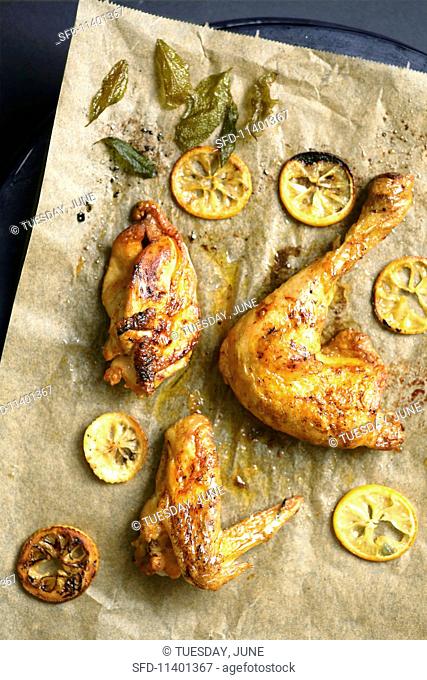 Chicken with lemon slices and sage on baking paper
