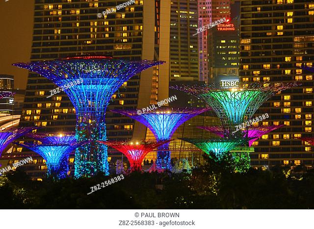 Night scene of the illuminated Supertrees in the Supertrees Grove in the Gardens by the Bay, Singapore, Republic of Singapore