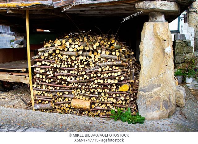 Piled wood in an horreo or raised granary in Sotu de Agues village  Sobrescobio  Redes Natural Park  Asturias, Spain