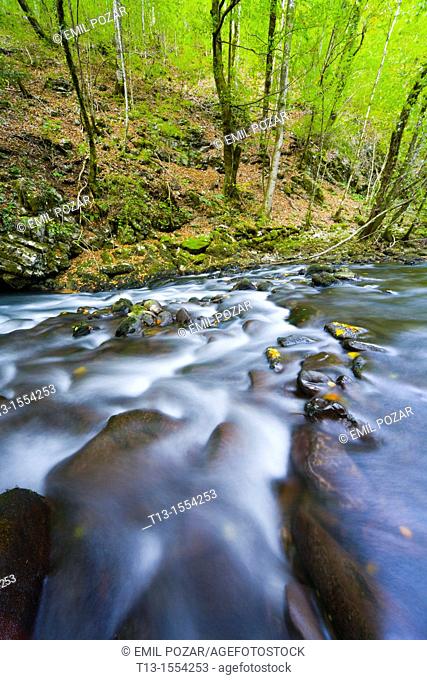 River Curak in Zeleni vir park near Skrad in Croatia, long exposure tripod shot