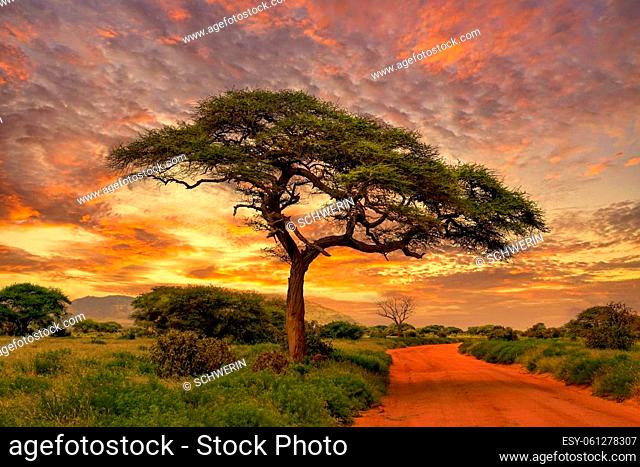 Sunset and sunrise in the Tsavo East and Tsavo West National Park in Kenya