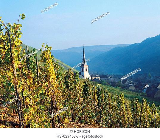 Travel, Germany, Rhineland, Ediger Church, Grape vines