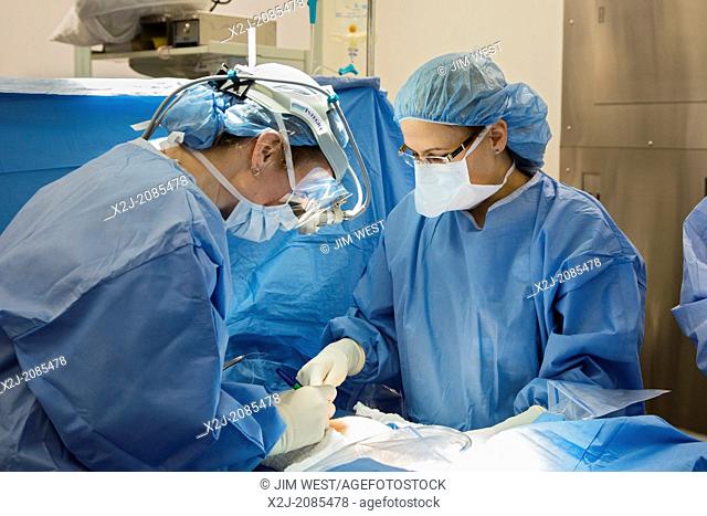 Detroit, Michigan - Dr. Shelly Seward (right), assisted by Dr. Stephanie Munns, performs a hysterectomy on a woman with endometrial cancer at Karmanos Cancer...