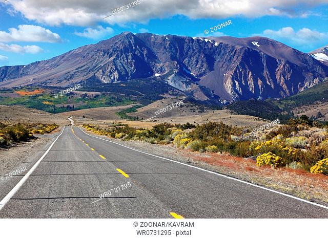 American road through the scenic desert