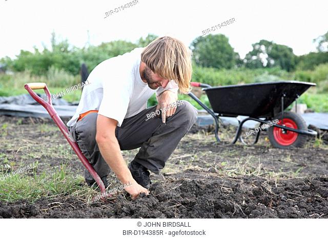 Trinity Organic Farm, Nottinghamshire - volunteer digging out weeds