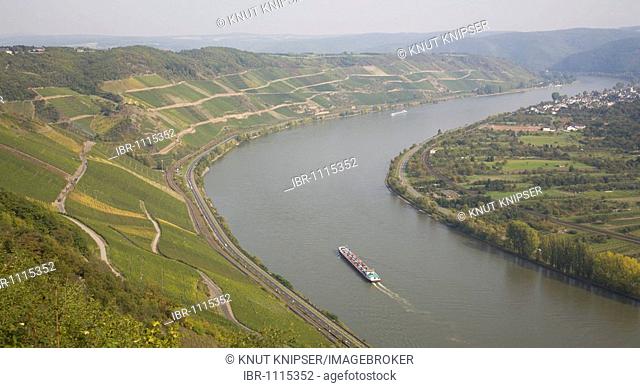 The wine-growing region Bopparder Hamm on the left bank of the Rhine River near Boppard, Rhineland-Palatinate, Germany, Europe