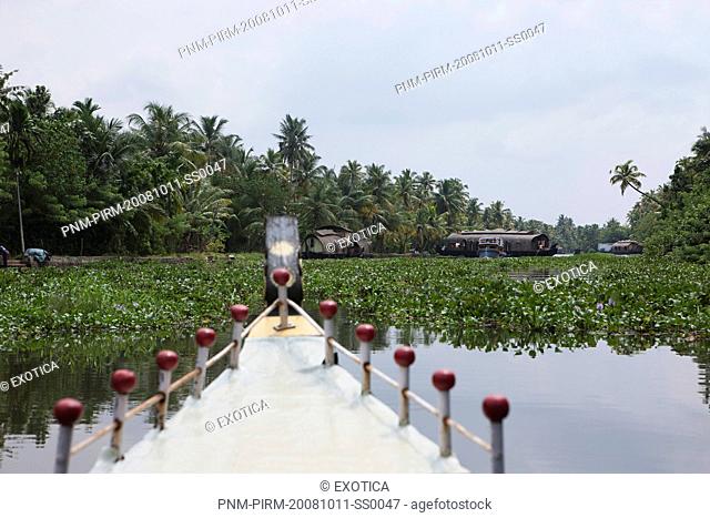 Boat in a lagoon, Kerala Backwaters, Alappuzha District, Kerala, India