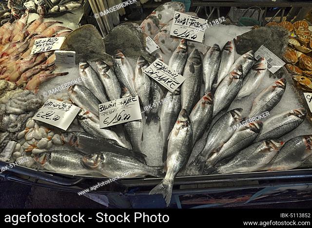 Fresh sea bass (Atractoscion nobilis) on ice, fish market, Venice, Veneto, Italy, Europe