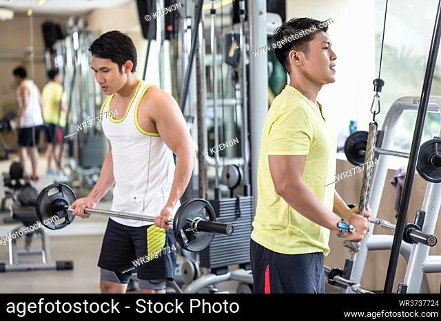 Side view of a young man exercising triceps pushdown at the rope cable machine, next to his friend during upper-body workout routine at the gym