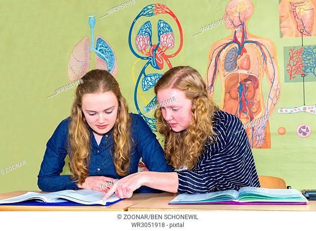 Two students learning with books in biology lesson