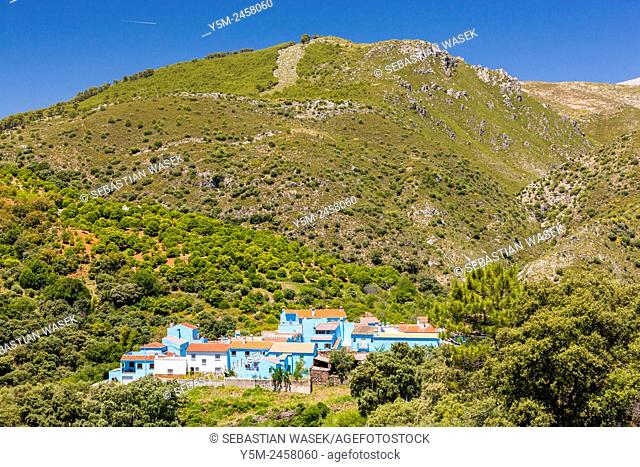 Pueblo Júzcar in blue, the Serrania de Ronda, Malaga province, Andalusia, Spain, Europe