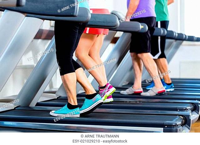 group of people on treadmill at fitness sports