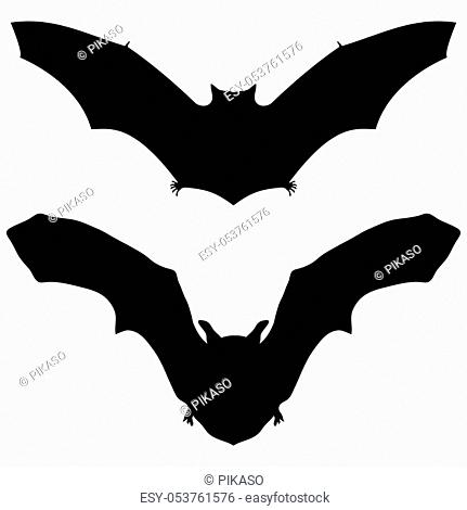 Bat silhouette on white background for Halloween vector illustration