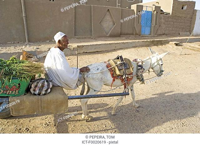 Sudan, Bayuda desert, Dongola, shopping cart