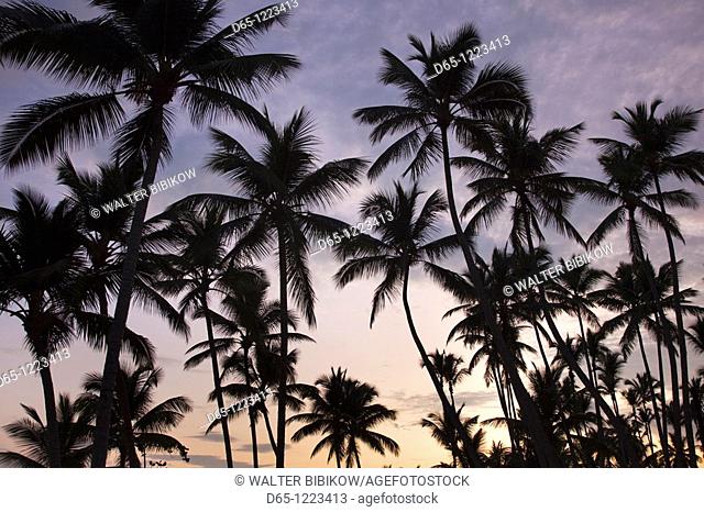 Dominican Republic, Samana Peninsula, Las Terrenas, Playa Las Terrenas beach, dawn