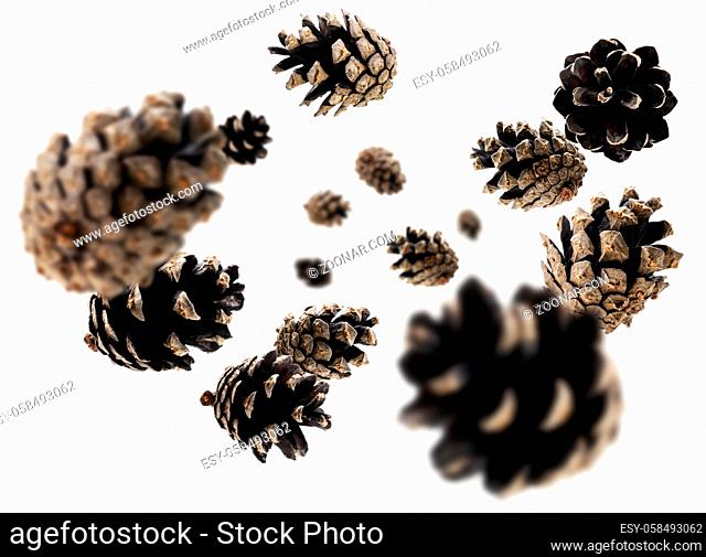 Pine cones levitate on a white background