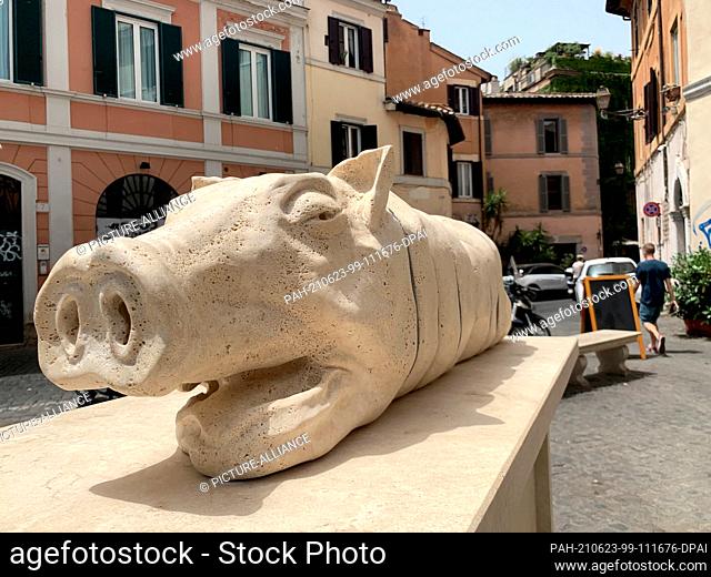 23 June 2021, Italy, Rom: The sculpture of a suckling pig in the middle of the Trastevere district. Where tourists stroll through the alleys during the day