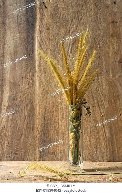 Flower foxtail weed in tube glass vase on wood background