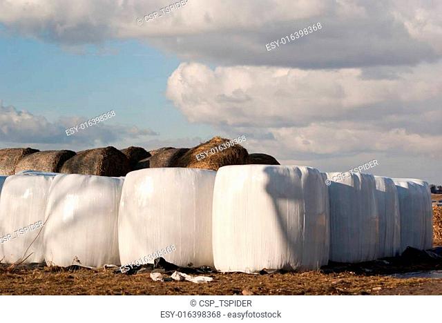 silage, bales