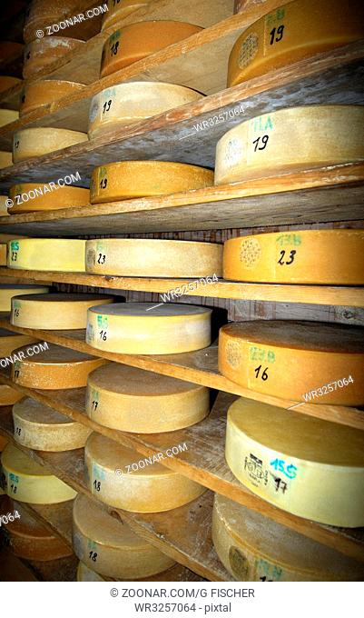 Runder Schweizer Alp Käse im Speicher einer Käserei vor der Chästeilet, Schweiz / Wheels of Swiss Alp cheese in the storehouse of a cheese dairy before the...