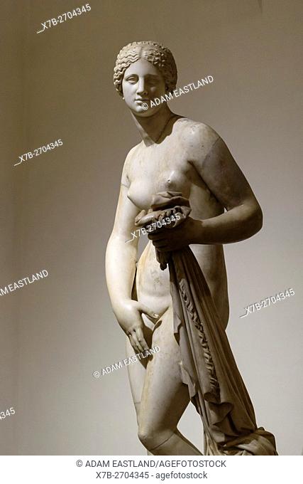 Rome. Italy. The Ludovisi Cnidian Aphrodite, Palazzo Altemps. Museo Nazionale Romano. . Roman copy of the Greek original by Praxiteles (c. 350 BC)