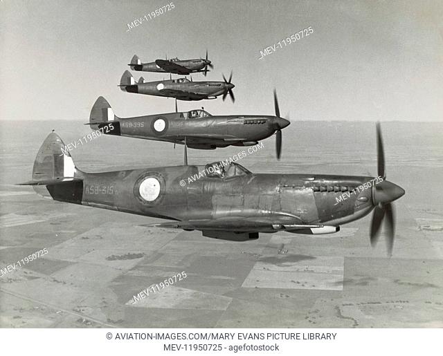 Royal Australian Air Force Raaf Supermarine Spitfire 8S flying in formation over Fields and Trees