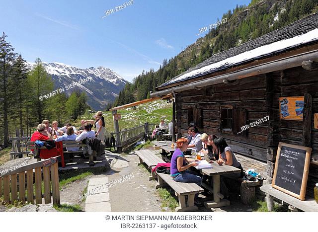 Gfoelleralm alp, Naturpark Soelktaeler nature park, Schladminger Tauern mountain range, Upper Styria, Styria, Austria, Europe