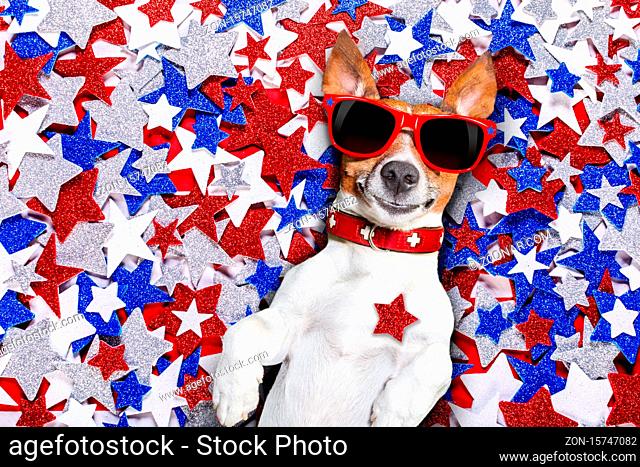 jack russell dog on independence day 4th of july on a background of usa Stars , wearing funny sunglasses