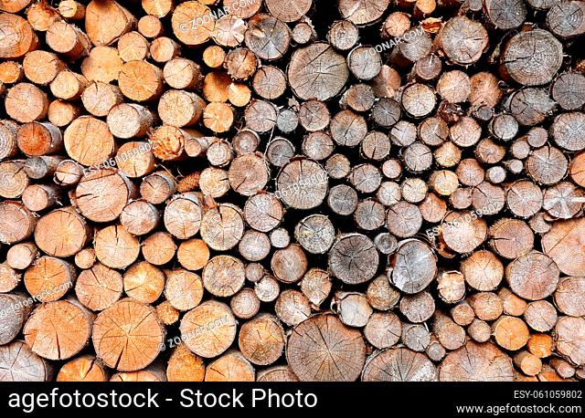 Stapel aus Fichtenholz - Pile of spruce wood
