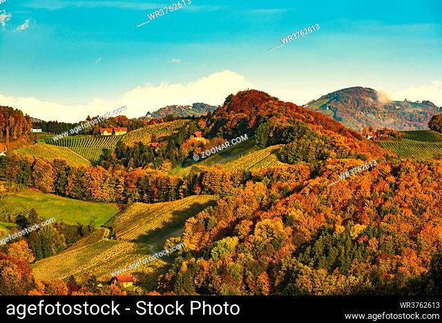 South styria vineyards, Tuscany of Austria. Sunrise in autumn. Colorful trees and vieyard at top of hill with poplar trees