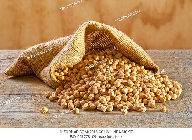Chickpeas in Burlap Sack - raw chickpeas spilling from a burlap or jute sack