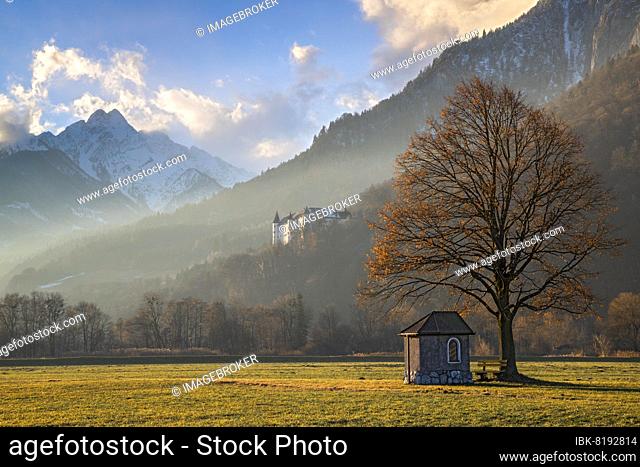 Small chapel under a tree, Tratzberg Castle and Fiechter Spitze in the background, Stans, Tyrol, Austria, Europe