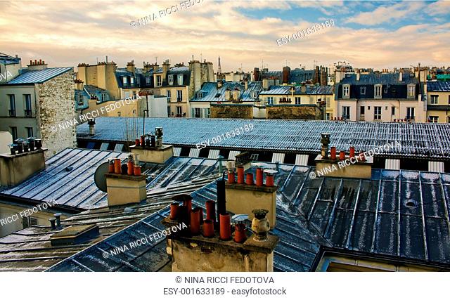 Paris Roof View