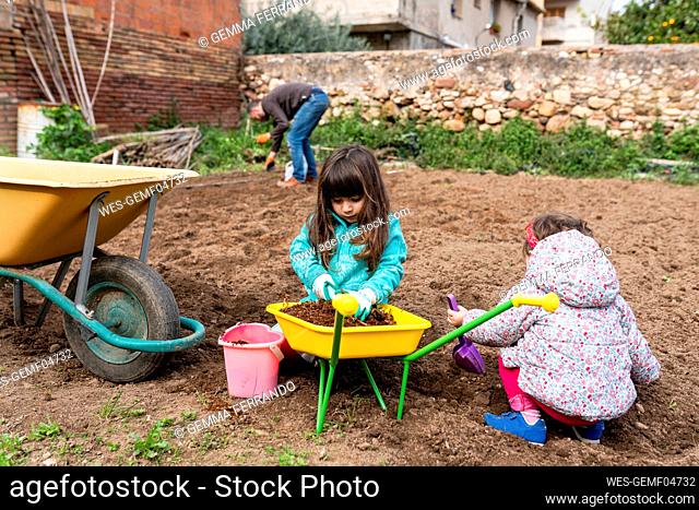 Female siblings gardening with father in backyard