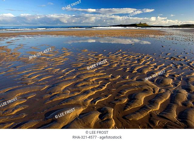 View across Embleton Bay at low tide towards the ruins of Dunstanburgh Castle, near Alnwick, Northumberland, England, United Kingdom, Europe