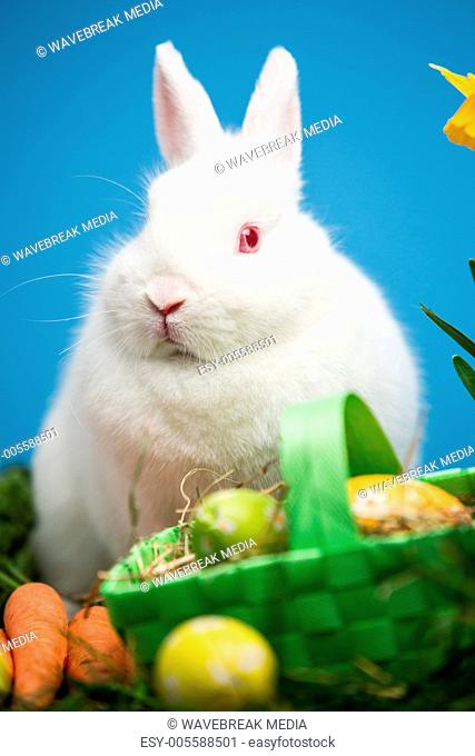 White rabbit sitting behind easter eggs in green basket