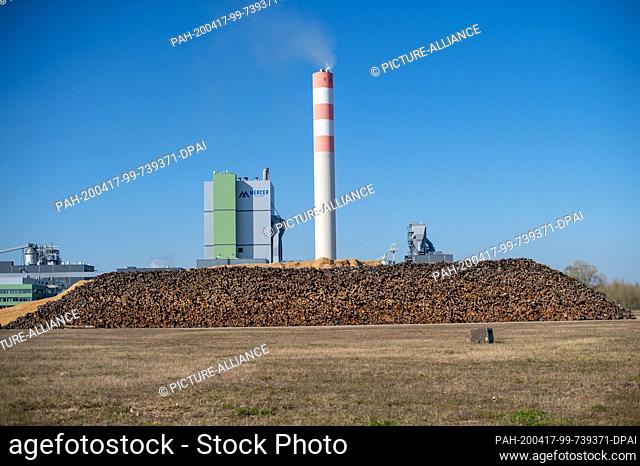 06 April 2020, Saxony-Anhalt, Anrneburg: Industrial plants of the company ""Mercer Stendal"" tower above a pile of tree trunks