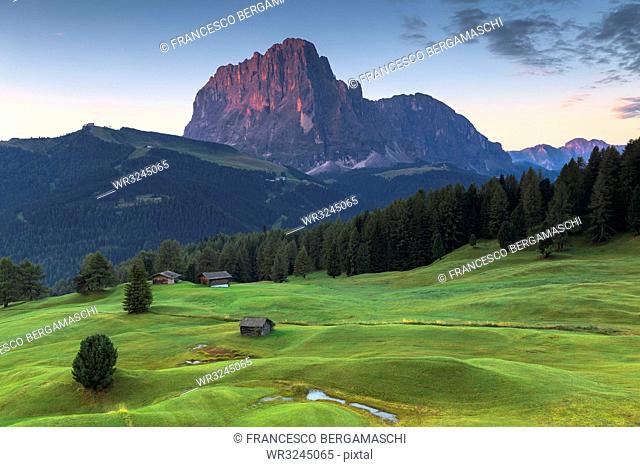 First light on Sassolungo peak, Daunei, Selva Val Gardena, Gardena Valley, South Tyrol, Dolomites, Italy, Europe
