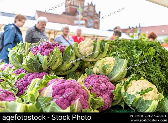 05 August 2023, Brandenburg, Golßen: Red and white cauliflower heads lie at a sales stand at the Spreewald Cucumber Day in Golßen, which visitors walk past