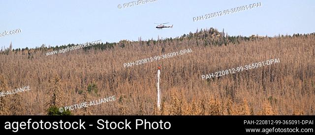 12 August 2022, Saxony-Anhalt, Elend: A firefighting helicopter fights a forest fire near Schierke. In the Harz National Park