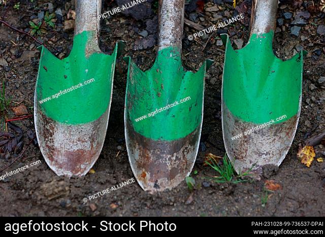 28 October 2023, Saxony-Anhalt, Elend: Planting spades are ready for the participants and supporters of the tree planting initiative ""heiermann4future""