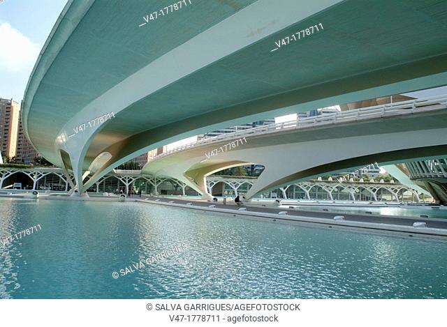 Monteolivete bridge, City of Arts and Sciences, Valencia, Spain, Europe