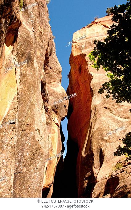 USA Utah, hike up the slot canyon known as Kanarra Creek, near Zion National Park, showing the red iron oxide rocks and the water stream erosion creating...