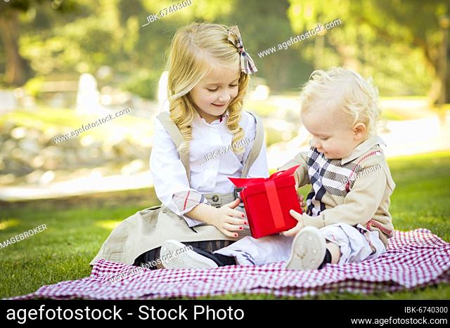 Sweet little girl gives her baby brother A wrapped gift on a picnic blanket outdoors at the park