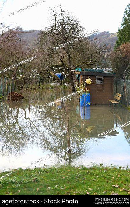 16 December 2023, Rhineland-Palatinate, Braubach: An allotment garden in Braubach is flooded. The peak of the flooding on the Middle Rhine is expected today