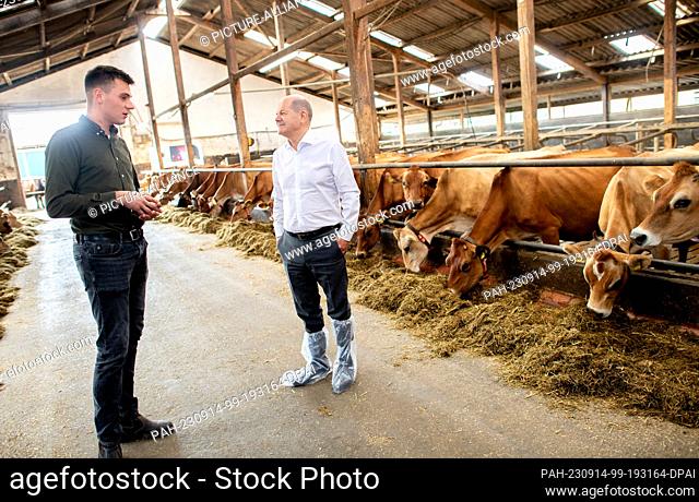 14 September 2023, Bremen: Chancellor Olaf Scholz (r, SPD) talks to farmer Max Sündermann in the cowshed of the organic farm